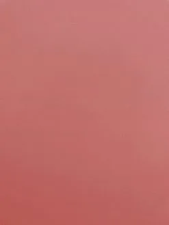 Borghese Shine Infusion Lip Gloss 91 Borghese Shine Infusion Lip Gloss -Jewelry Accessories 408a2836 6f64 4cae bdbf 482b43f5b61c