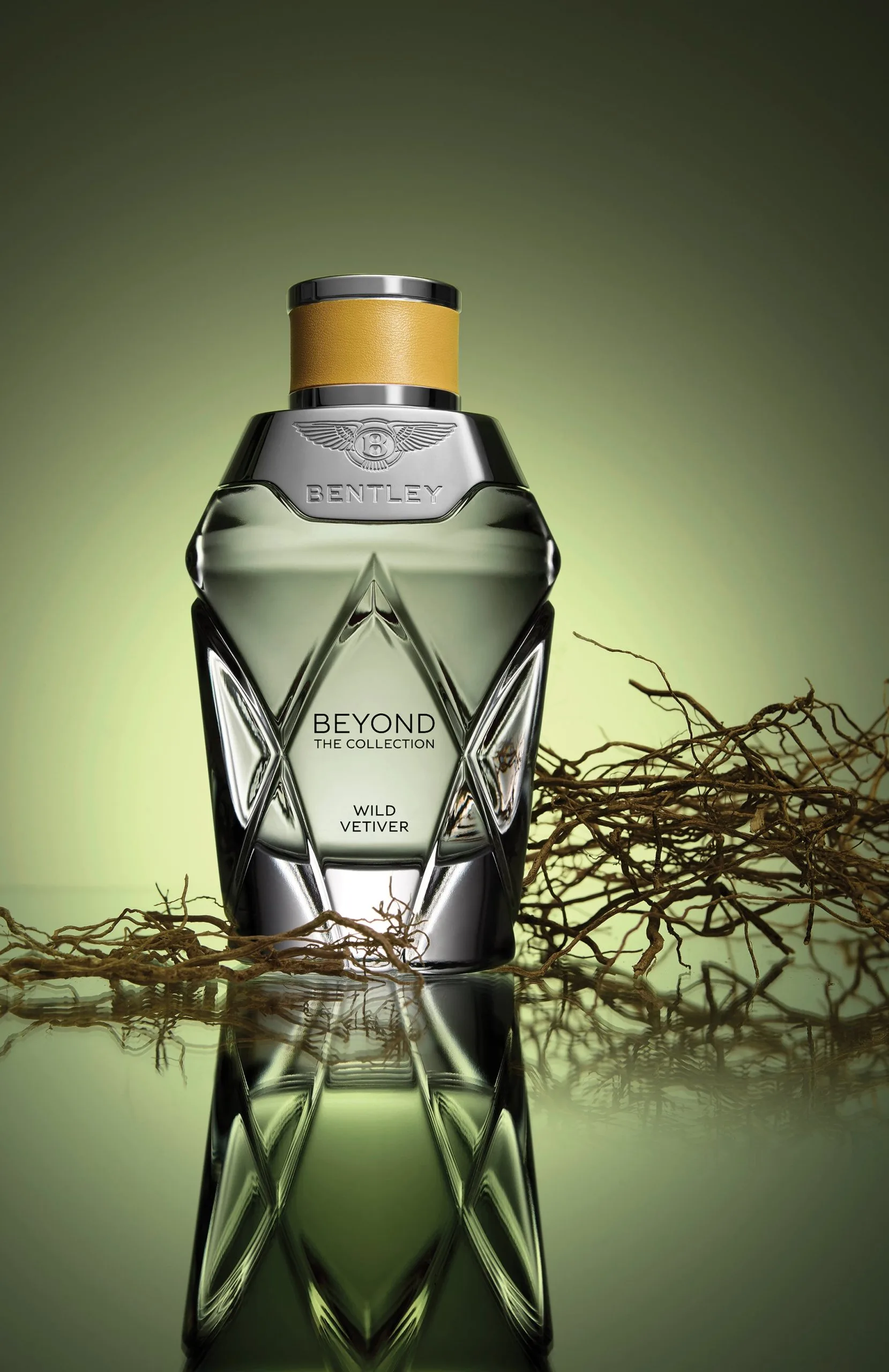 BENTLEY Beyond- The Collection Wild Vetiver Eau De Parfum Srpay, 3.4 Oz 9 BENTLEY Beyond- The Collection Wild Vetiver Eau De Parfum Srpay, 3.4 Oz - Image 7