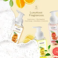 Lovery Citrus Scented Hand Foaming Soap 5-Piece Set -Jewelry Accessories 76763f75 7641 4e3f 8787 950cd64236c7