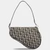 DIOR Trotter Saddle Pouch 2 DIOR Trotter Saddle Pouch -Jewelry Accessories b3ccd33d 584a 4c51 8226 531c9d4640ae