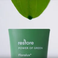 BioClarity Essentials Routine - Mini 14 BioClarity Essentials Routine - Mini -Jewelry Accessories c486a509 ee9f 4e9e 9c35 947d2dd7bcb1