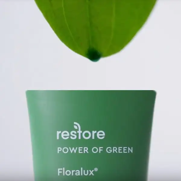 BioClarity Essentials Routine - Mini 7 BioClarity Essentials Routine - Mini - Image 5