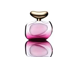 Vince Camuto Illuminare Intensa -Jewelry Accessories e10162c9 911f 4ad7 a5c2 7f55e5177f45