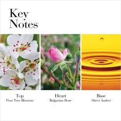 Elizabeth Arden White Tea Wild Rose Eau De Toilette Spray, 1.7 Oz 16 Elizabeth Arden White Tea Wild Rose Eau De Toilette Spray, 1.7 Oz -Jewelry Accessories e38ed032 0062 4c73 ad31 30eebcd1f49c