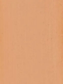 Coloured Raine Charming Chai Matte Bronzer -Jewelry Accessories eeafc2cd b3b4 4dbc af8f c9437b7e78ba